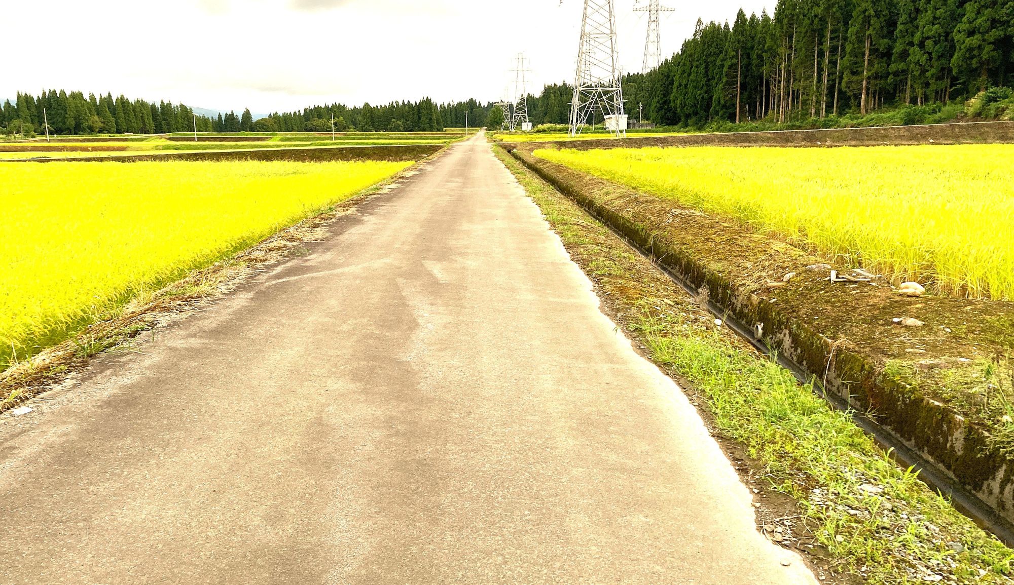 田舎の農道ランニングの魅力